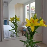 Appartamento Deluxe Bellevue
