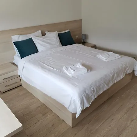 Deluxe Bellevue 아파트 사라예보