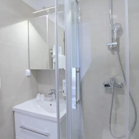 Deluxe Bellevue Apartment