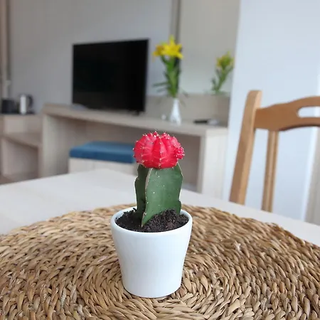 Deluxe Bellevue Appartement