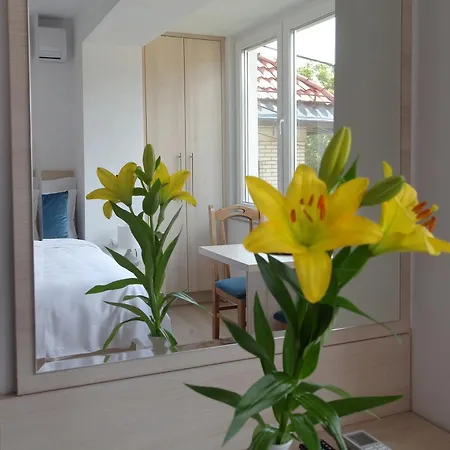 Lejlighed Deluxe Bellevue