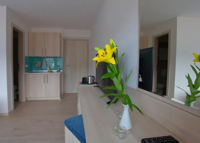 Deluxe Bellevue 아파트