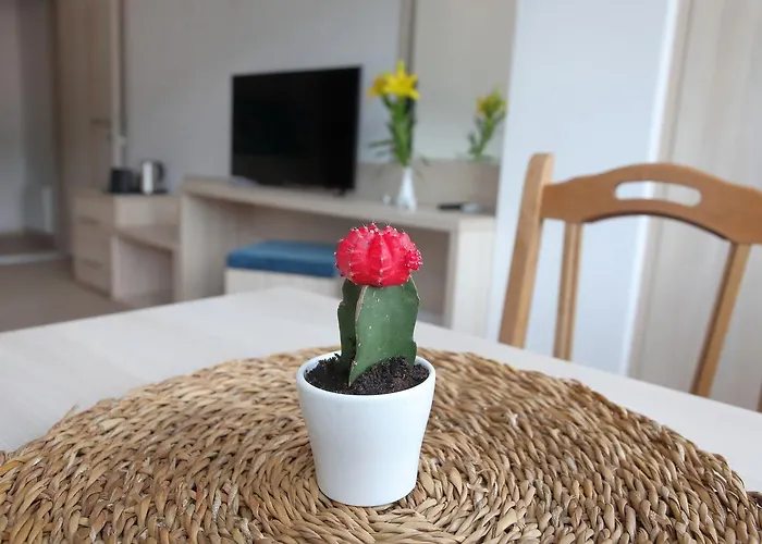 Deluxe Bellevue 아파트