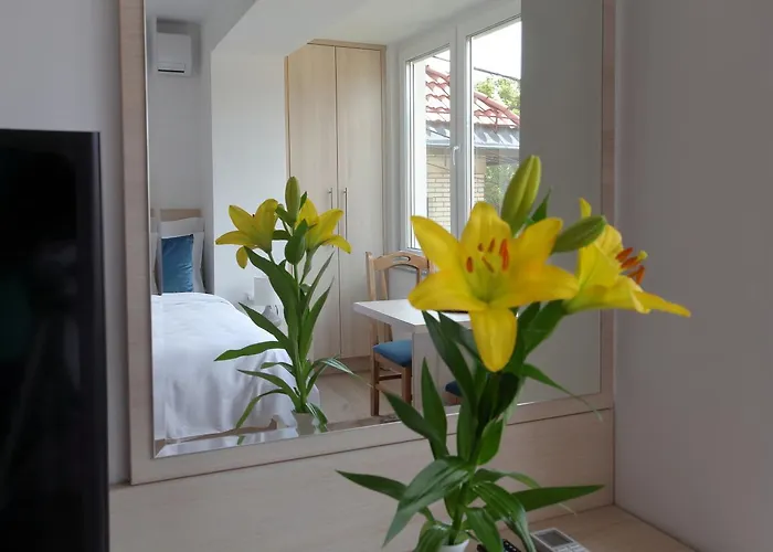 아파트 Deluxe Bellevue