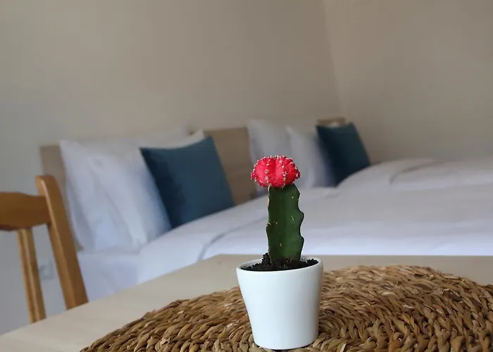 Deluxe Bellevue 아파트 사라예보