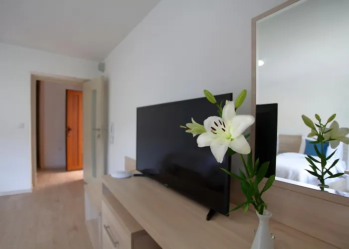 Deluxe Bellevue 아파트 사라예보